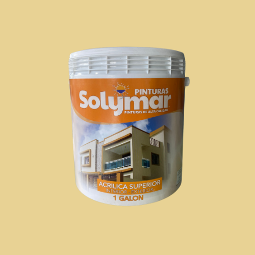 Pinturas Solymar Maiz